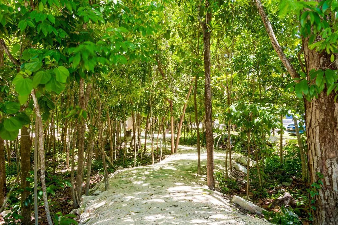Hostpal Selvanova Playa Del Carmen Lägenhet